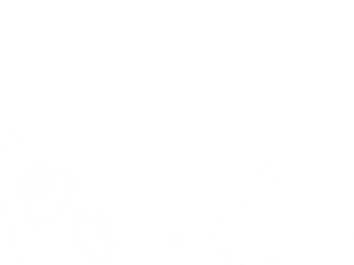 Истории успеха